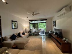 Tanglin Park (D10), Condominium #560434711
